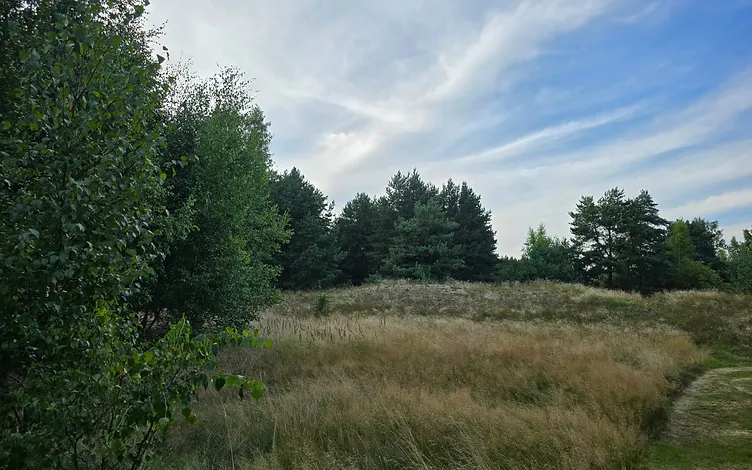 Žemė 1, 2535 ha ploto su 67,5 m jūros riba 5