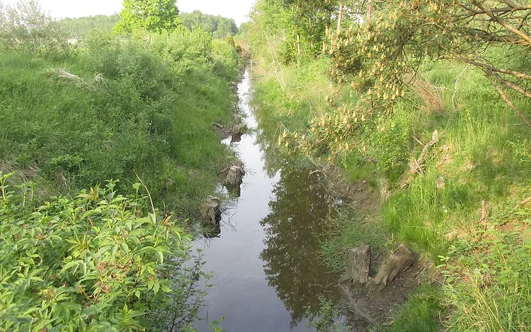 Zeme apbūvei (18, 9 ha) ar izeju pie jūras 19