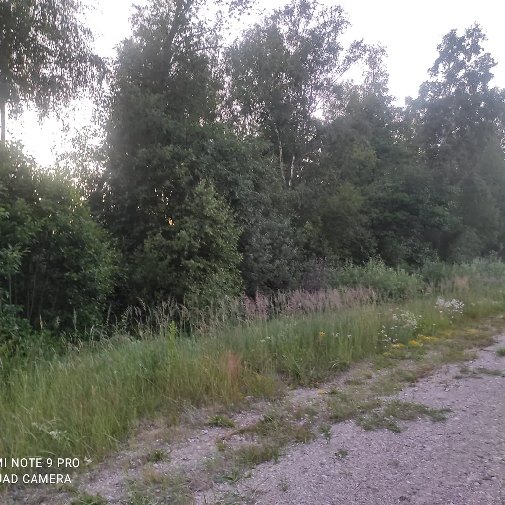 Divi zemes gabali- 3,25 ha un 3,19 ha Ošvalkos, Jūrkalnes pagastā 3