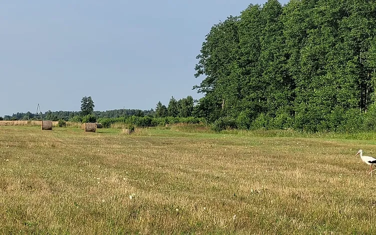 Zeme apbūvei (18, 9 ha) ar izeju pie jūras 3