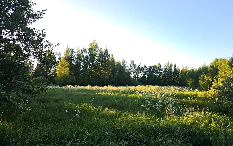 Zeme (1.02 ha) Papes Ķoņu ciemā 1