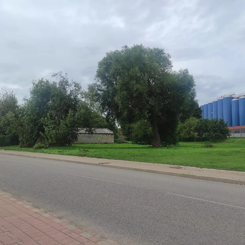 Zeme 2295 kv/m ar dzīvojamo ēku Jaunā ielā 19, Vecliepājā. 4