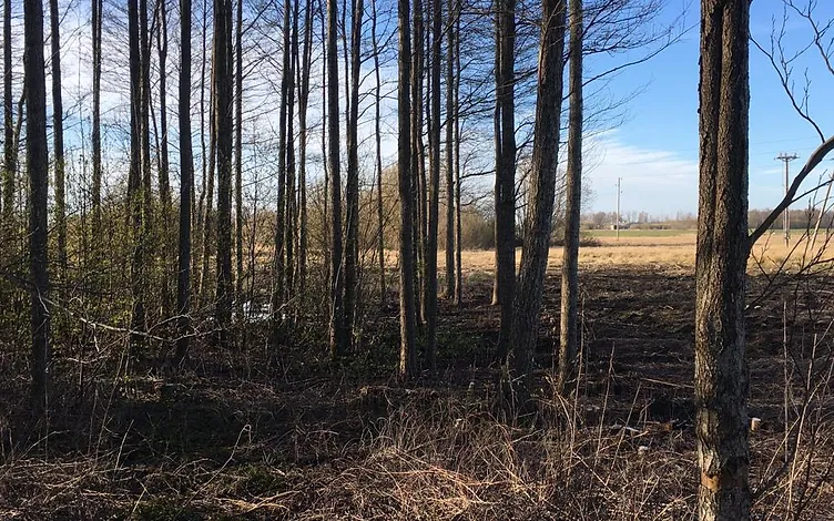 Du žemės sklypai – 2,45 ha 4