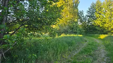 Zeme (1.02 ha) Papes Ķoņu ciemā 7