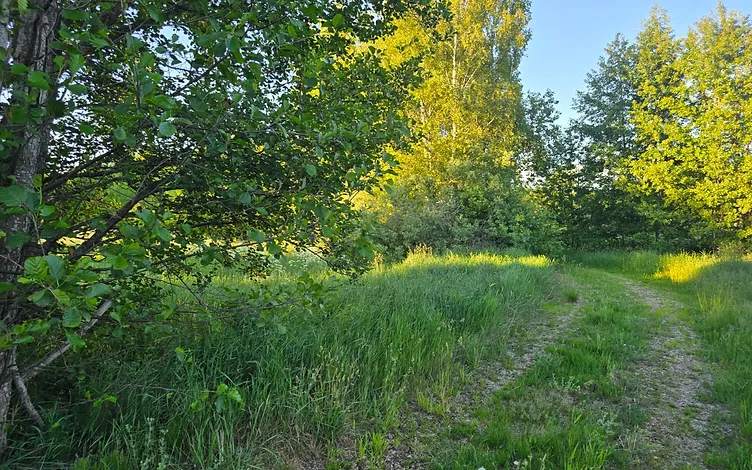 Zeme (1.02 ha) Papes Ķoņu ciemā 7
