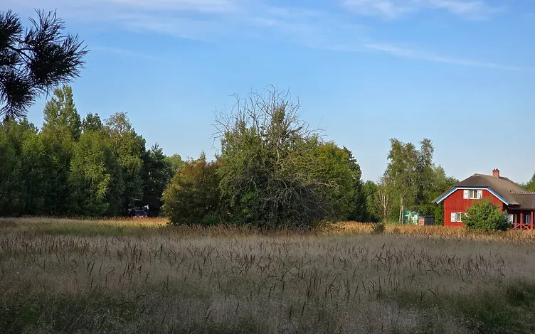 Zeme 1, 3646 ha platībā ar jūras robežu 64,5 m 7