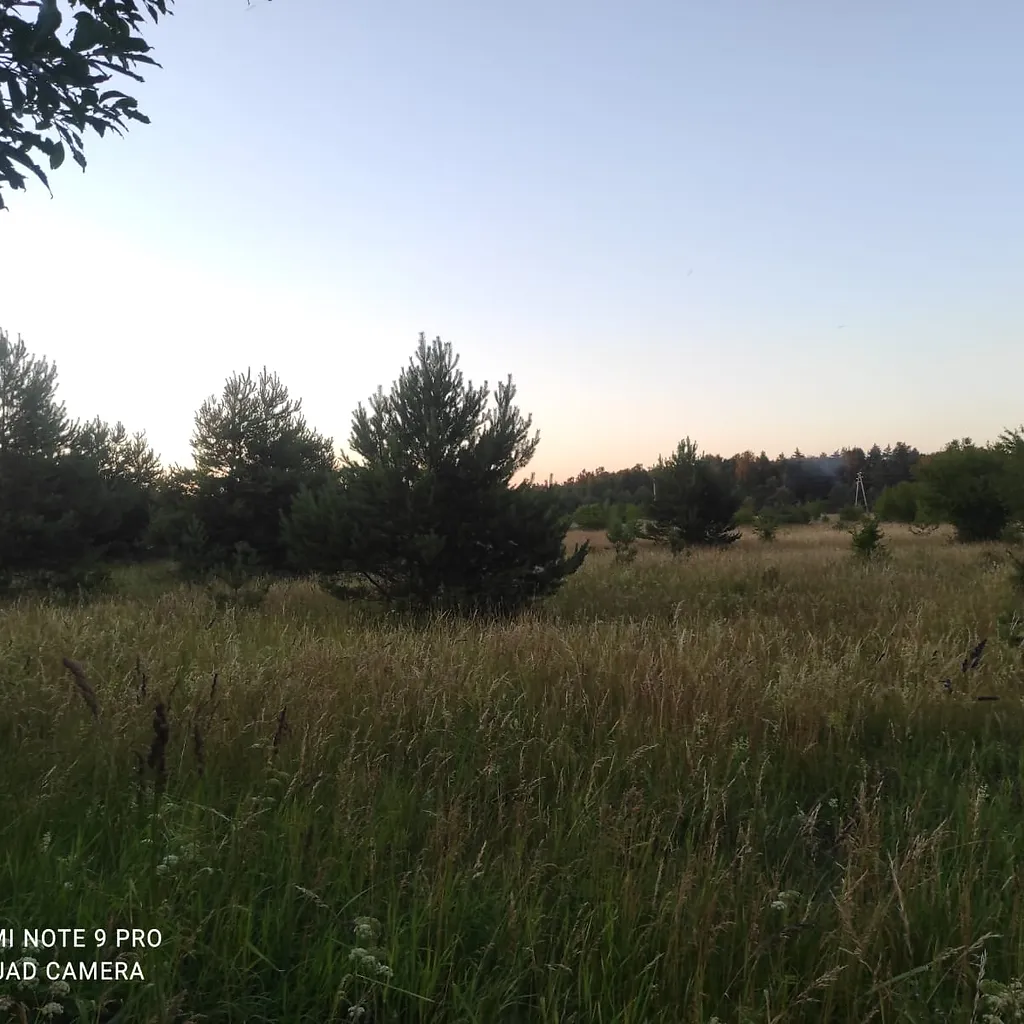 Divi zemes gabali- 3,25 ha un 3,19 ha Ošvalkos, Jūrkalnes pagastā 7