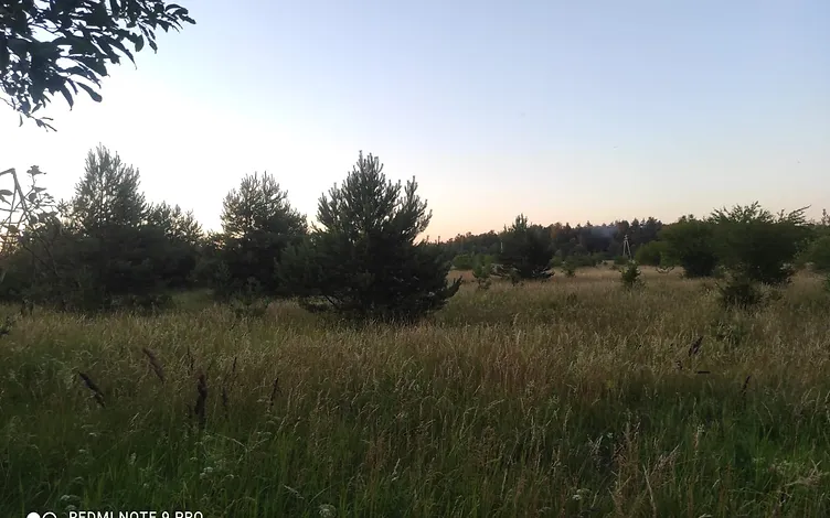 Divi zemes gabali- 3,25 ha un 3,19 ha Ošvalkos, Jūrkalnes pagastā 7