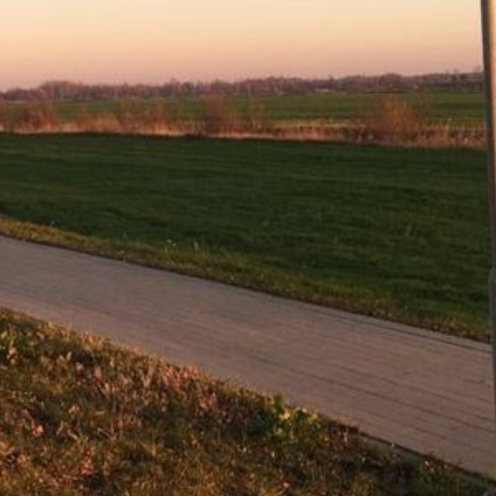 Zeme komercapbūvei 11, 53 ha pie Liepājas robežas blakus šosejai Liepāja-Rīga 5