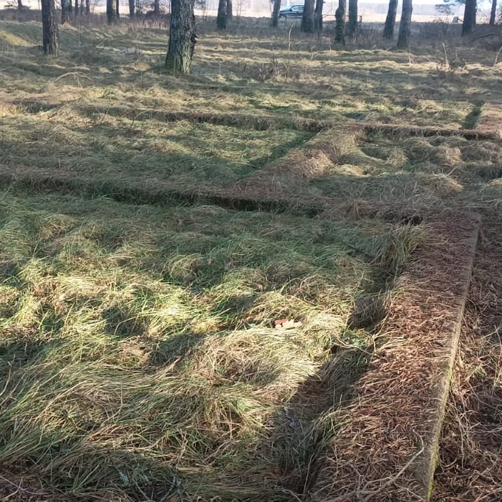 Three Seafront Land Plots 5