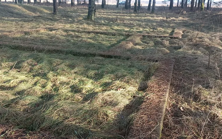Three Seafront Land Plots 5