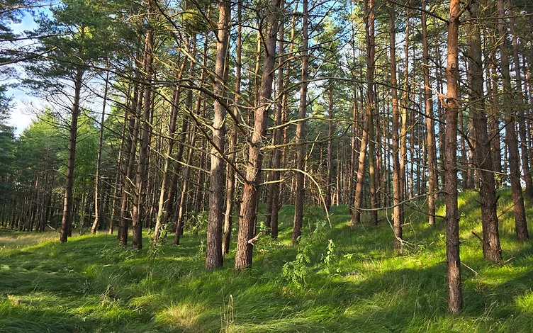 Žemė 1, 2535 ha ploto su 67,5 m jūros riba 4