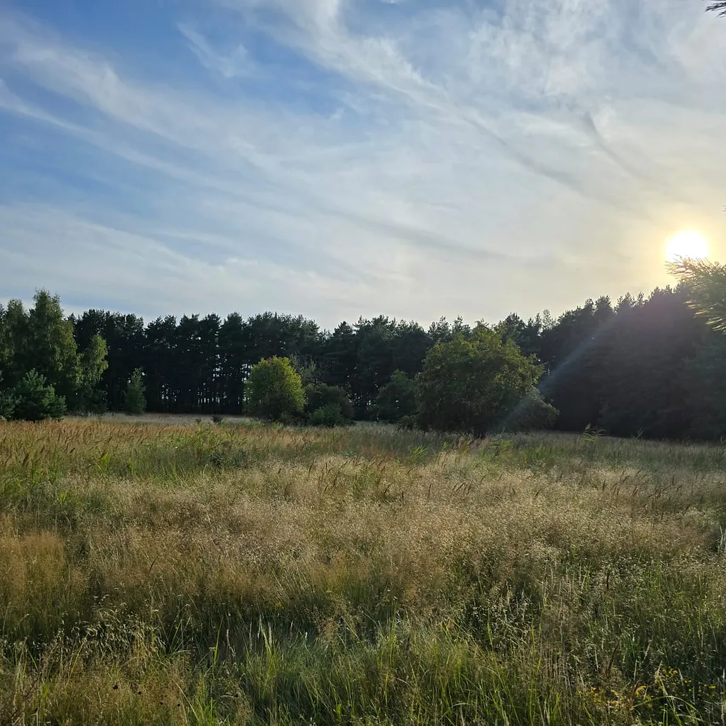 Žemė 1, 2535 ha ploto su 67,5 m jūros riba 3