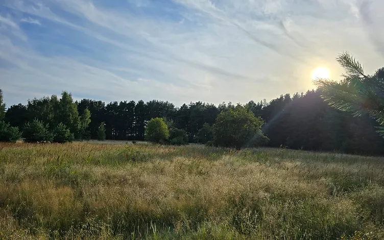 Žemė 1, 2535 ha ploto su 67,5 m jūros riba 3