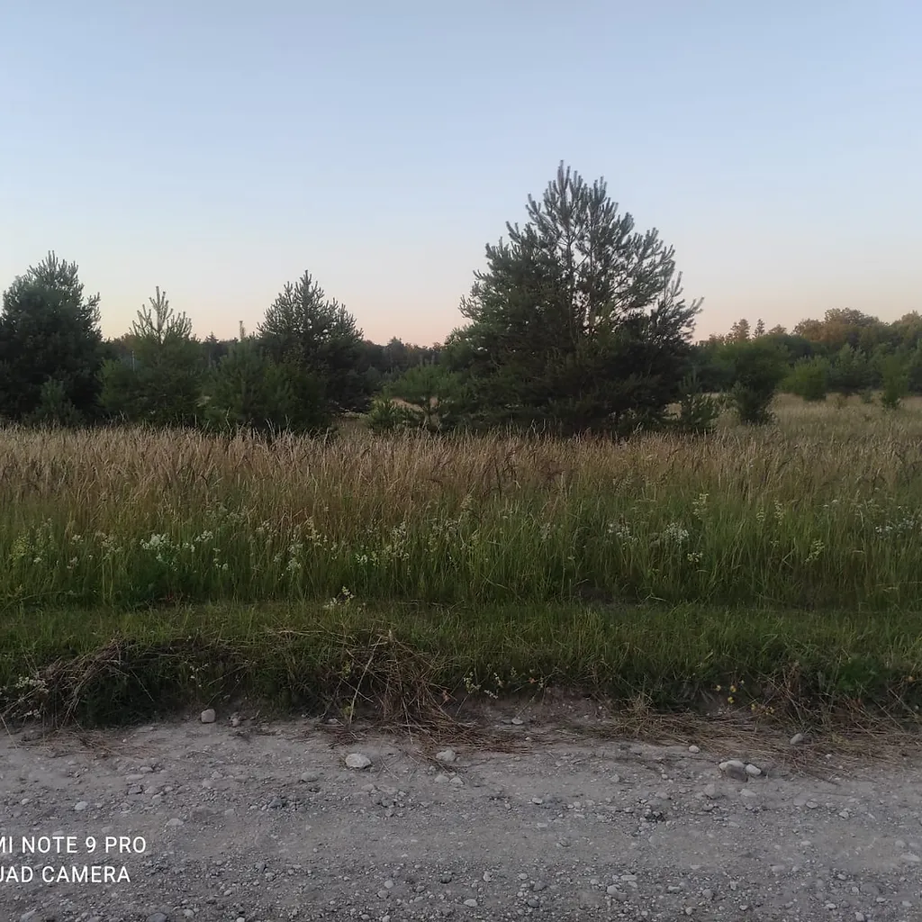 Divi zemes gabali- 3,25 ha un 3,19 ha Ošvalkos, Jūrkalnes pagastā 5