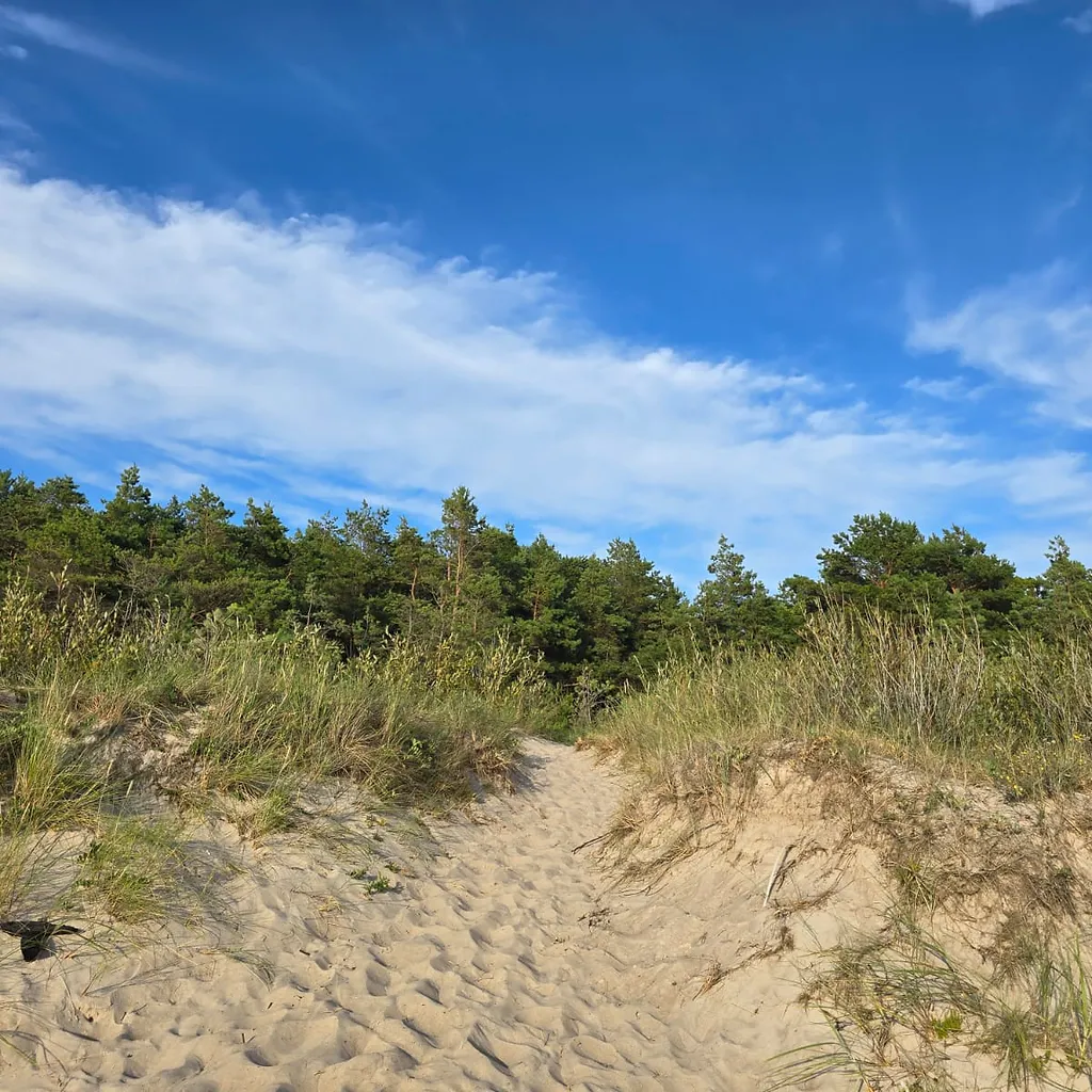 Žemė 1, 2535 ha ploto su 67,5 m jūros riba 1