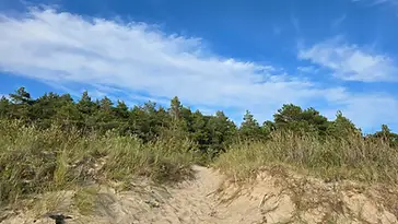 Žemė 1, 2535 ha ploto su 67,5 m jūros riba 1