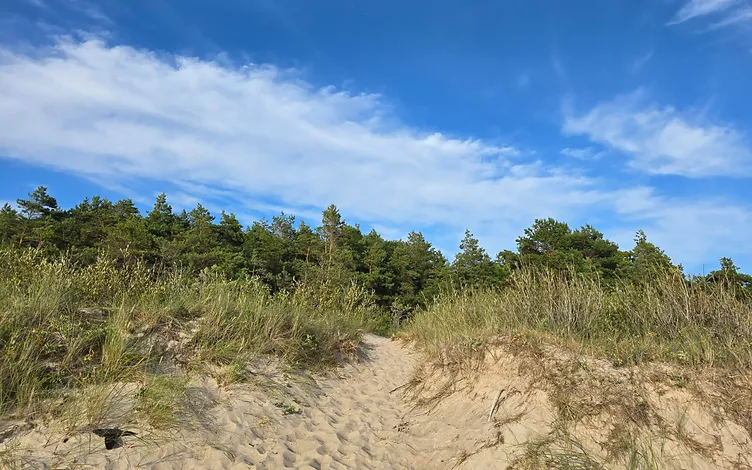 Žemė 1, 2535 ha ploto su 67,5 m jūros riba 1