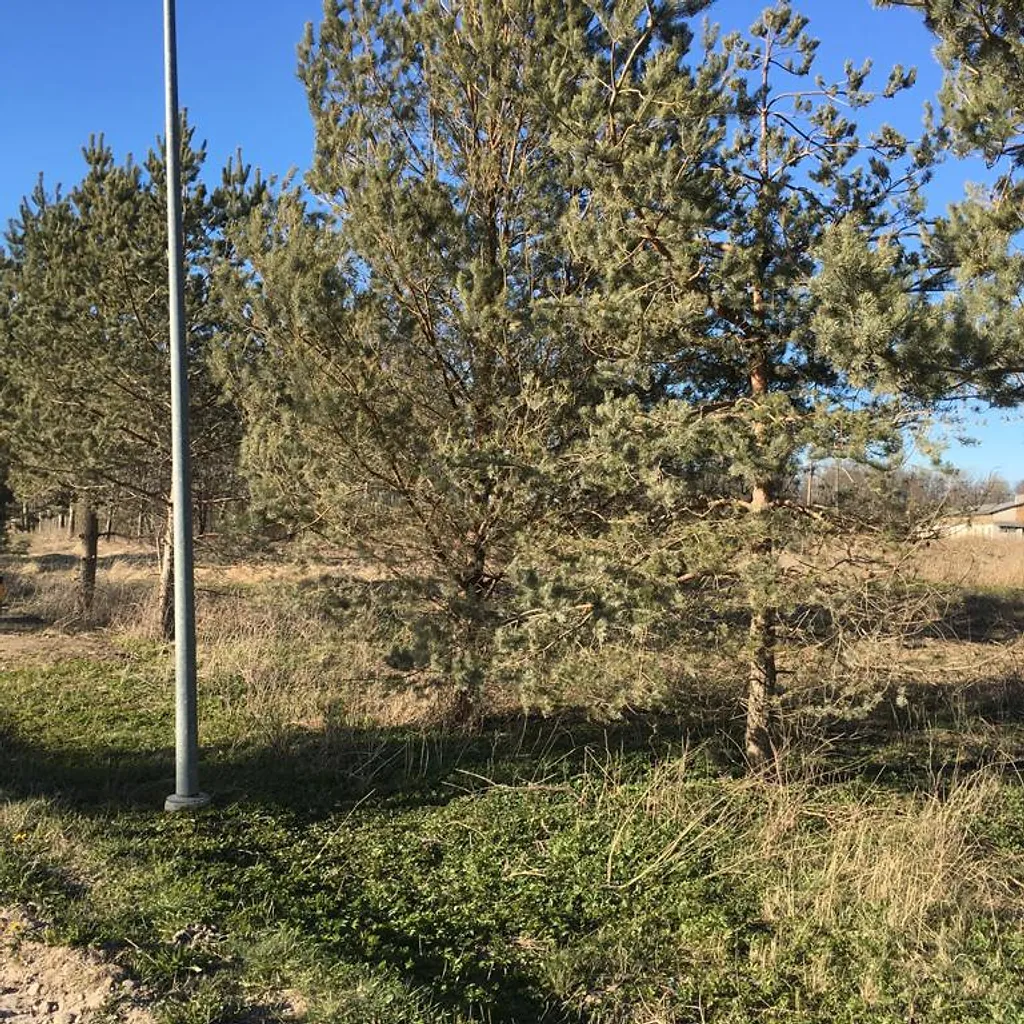 Du žemės sklypai – 2,45 ha 1
