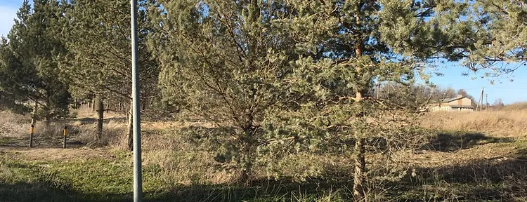 Du žemės sklypai – 2,45 ha