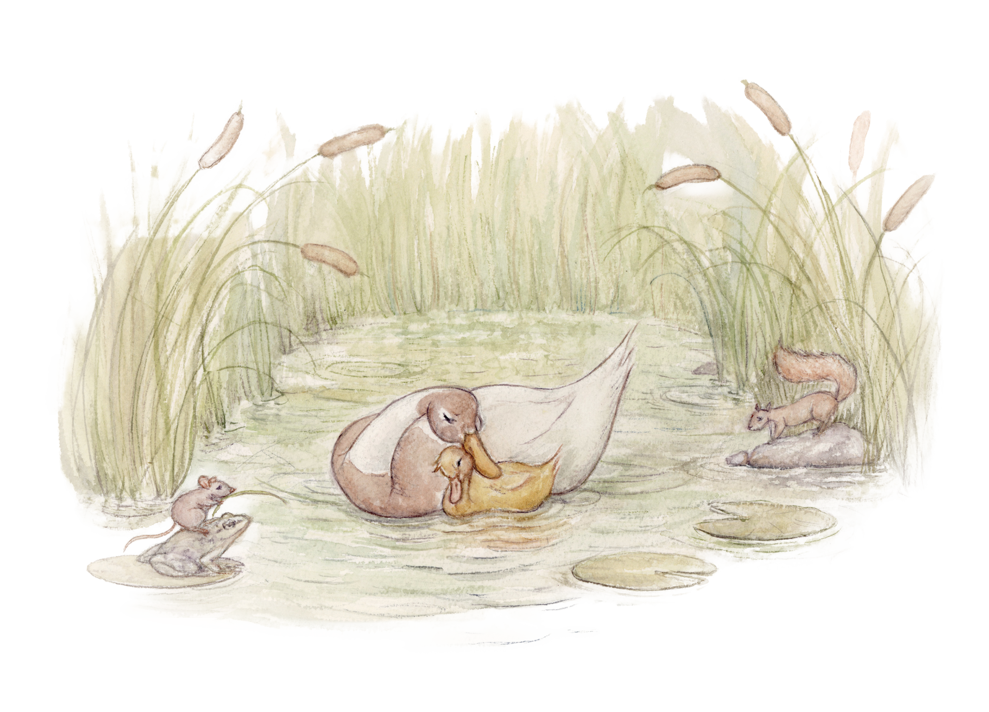 Mother duck and duckling nestled together in a pond