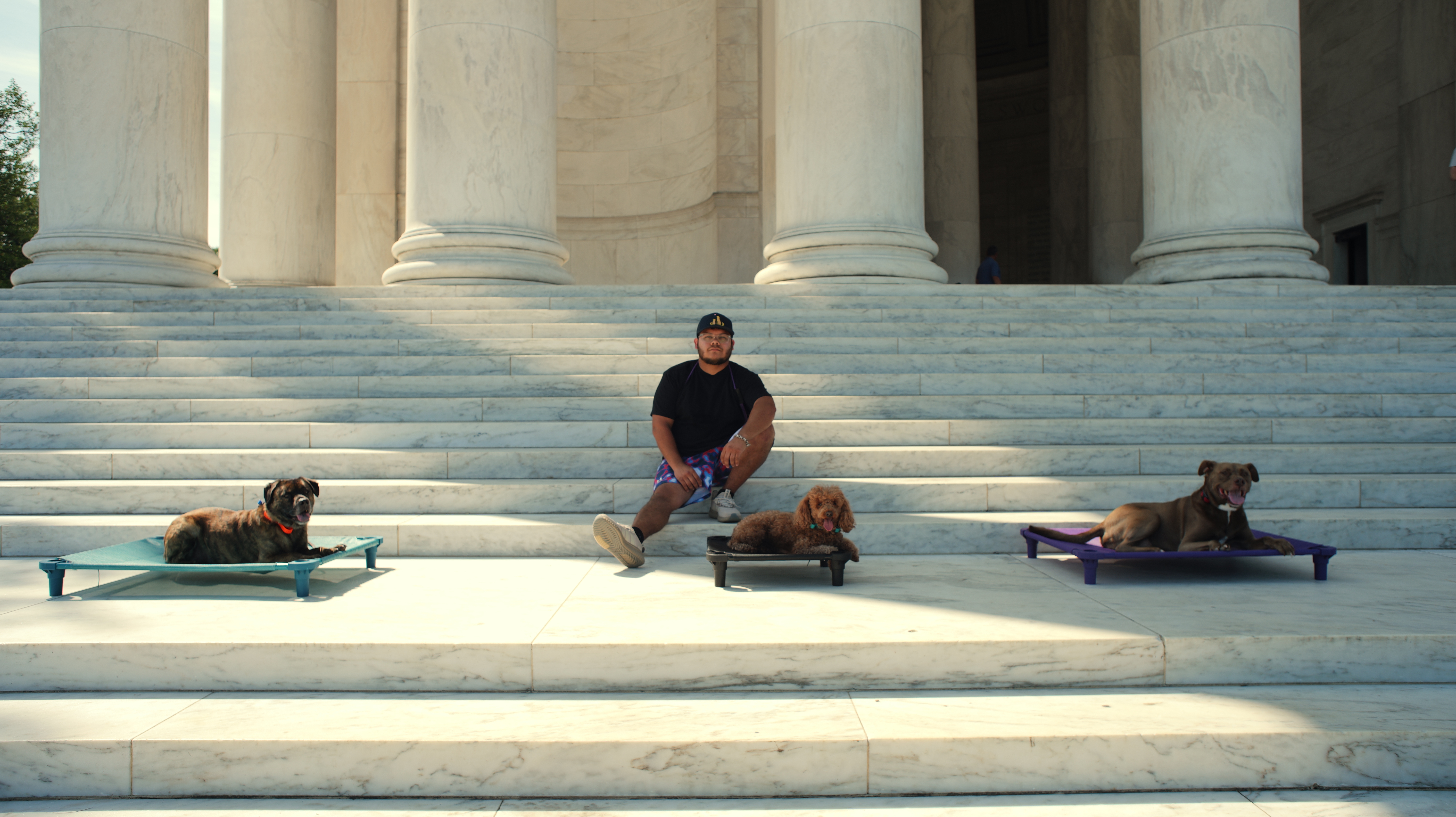 Big Brain Canine trainer with three dogs resting on the steps of a DC monument