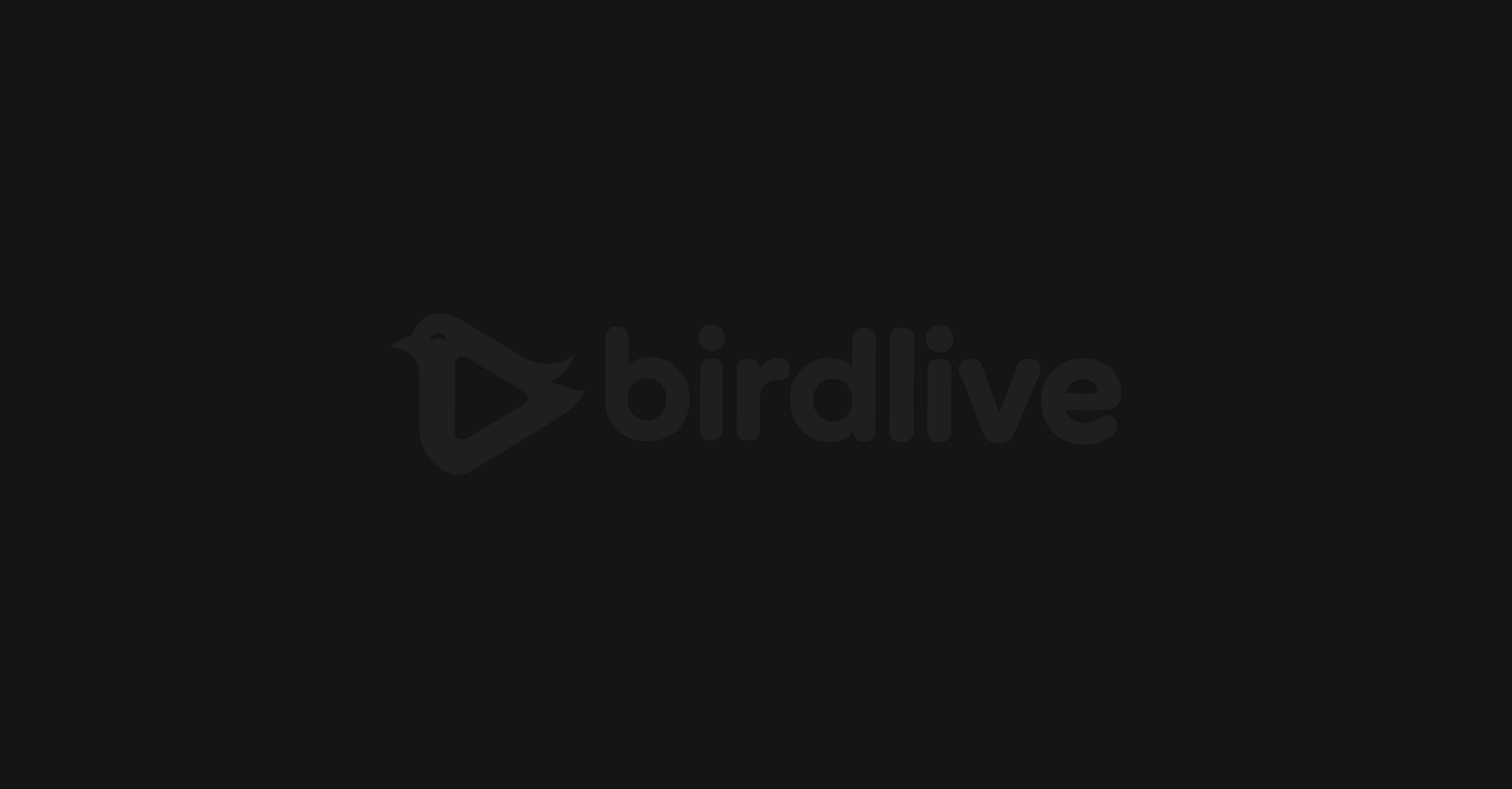 tvtvtv template preview