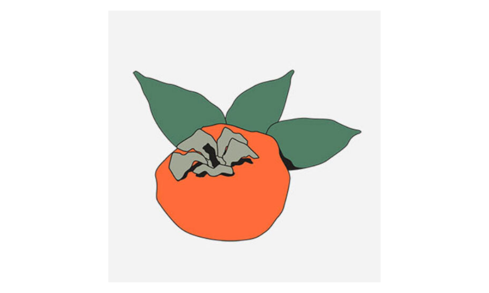 Logo de Persimmon's