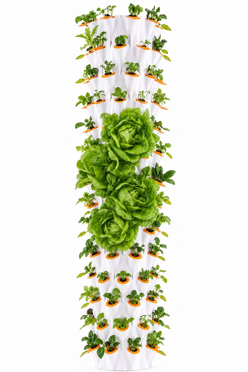Water-Based Nutrient Delivery