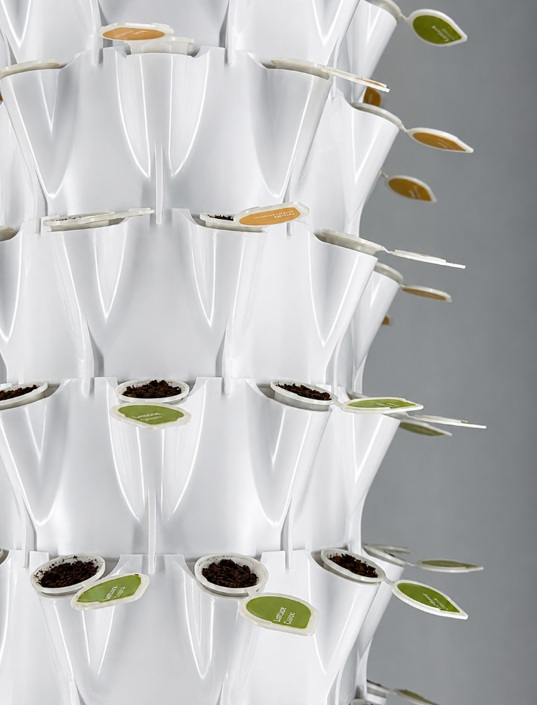 Seedling pods close-up