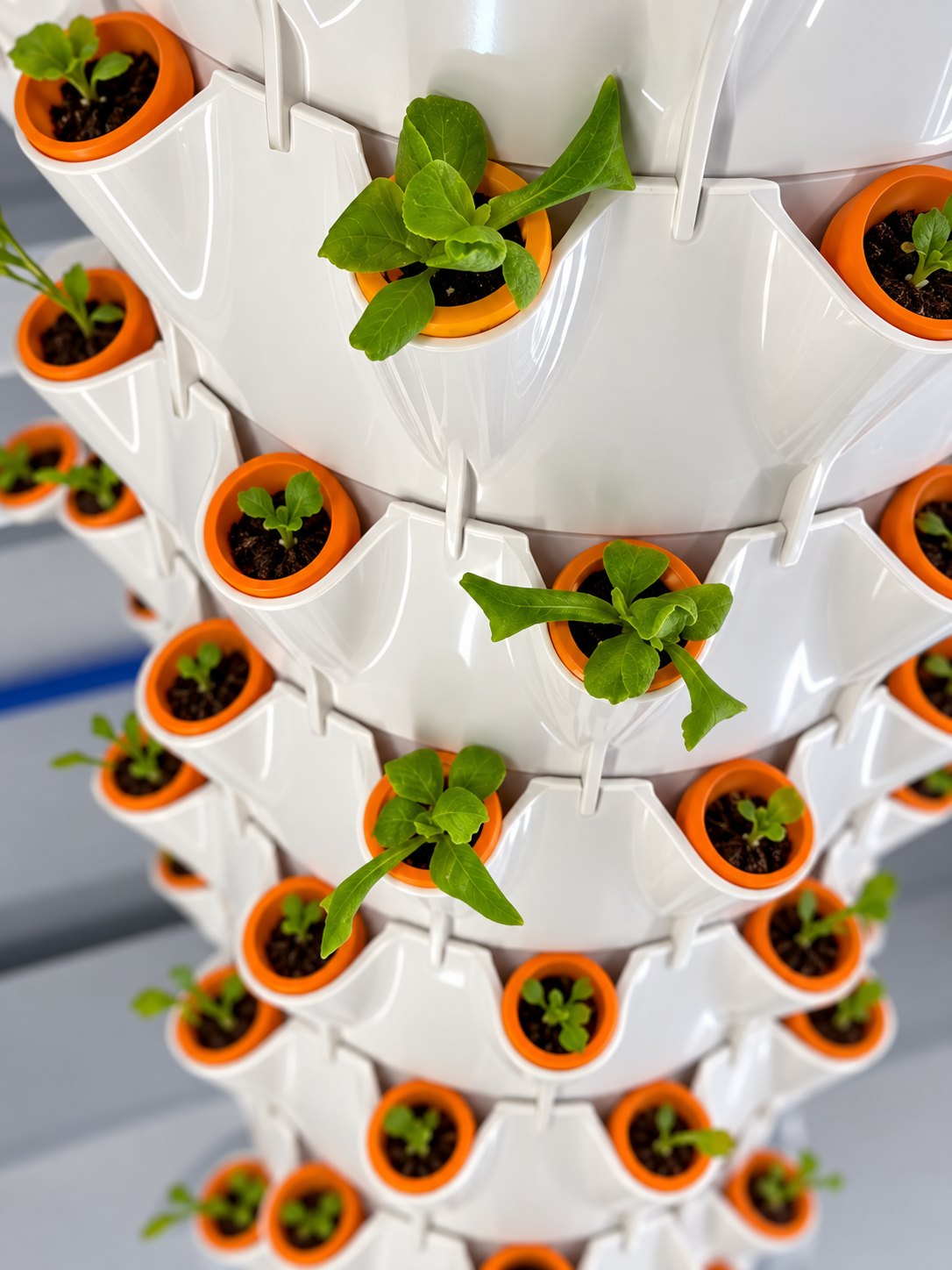 Young seedlings in orange grow ports on a white hydroponic tower