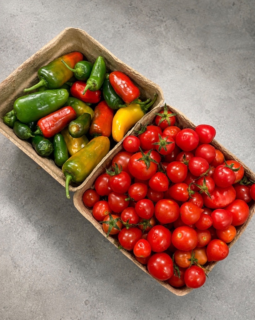 Two produce containers filled with peppers and cherry tomatoes
