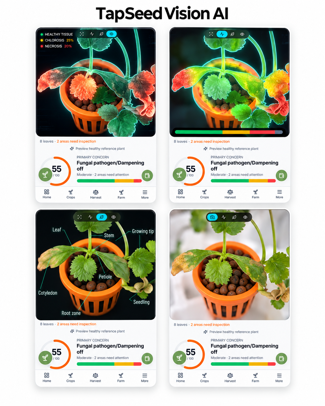 TapSeed Vision AI — plant health analysis screens