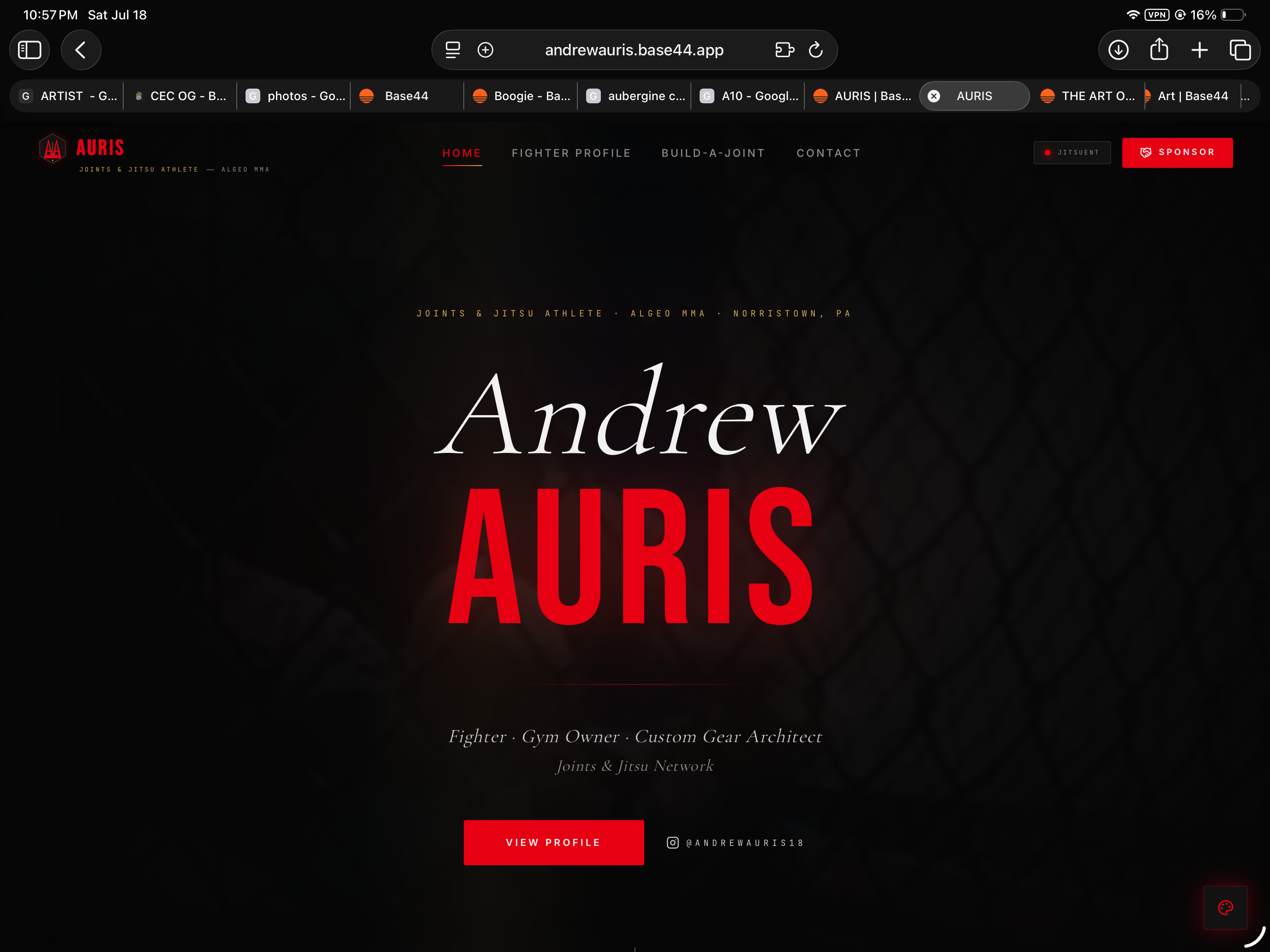 FIGHTER/ATHLETE SITE  template preview