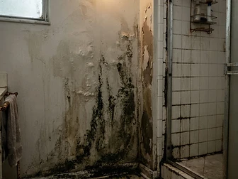 Bathroom Wall Restoration before remediation