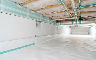 Mold Prevention & Moisture Control