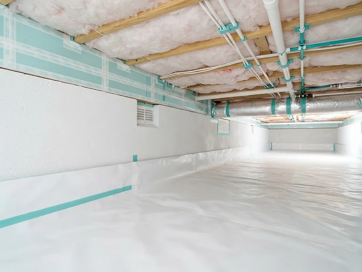 Mold Abatement & Long-Term Recurrence Prevention