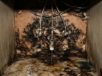 Under-Sink Cabinet Remediation before remediation
