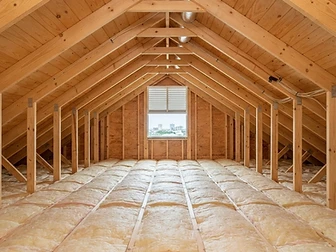 Attic Mold Remediation after remediation
