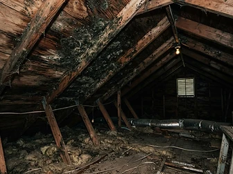Attic Mold Remediation before remediation