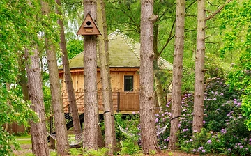 Treetop Hideaways