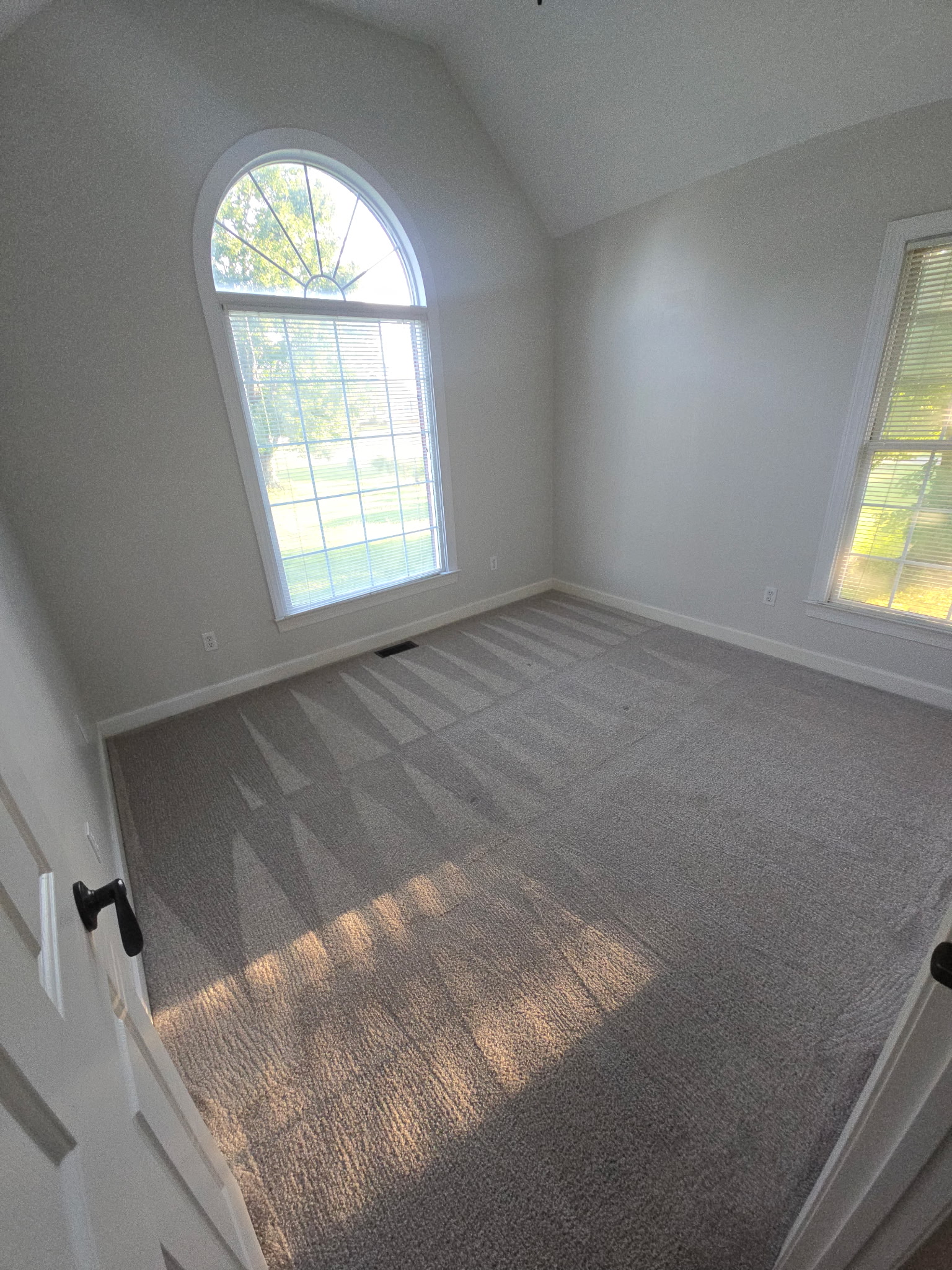After — Living Room Carpet — Stain Removal
