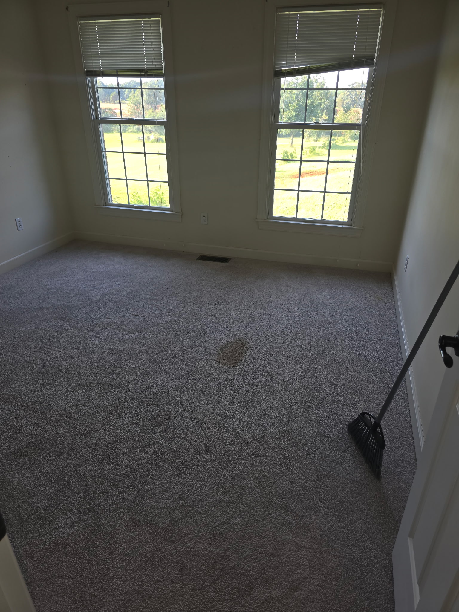 Before — Bedroom Carpet — Deep Clean & Stain Removal