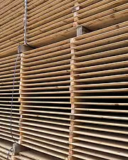 Pressure treated wood grain