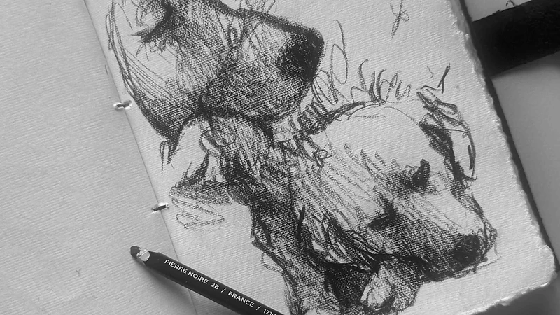 The artist drawing a pet portrait at the studio table