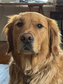 Reference photo of Lukas