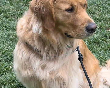 Choosing the Perfect Reference Photo