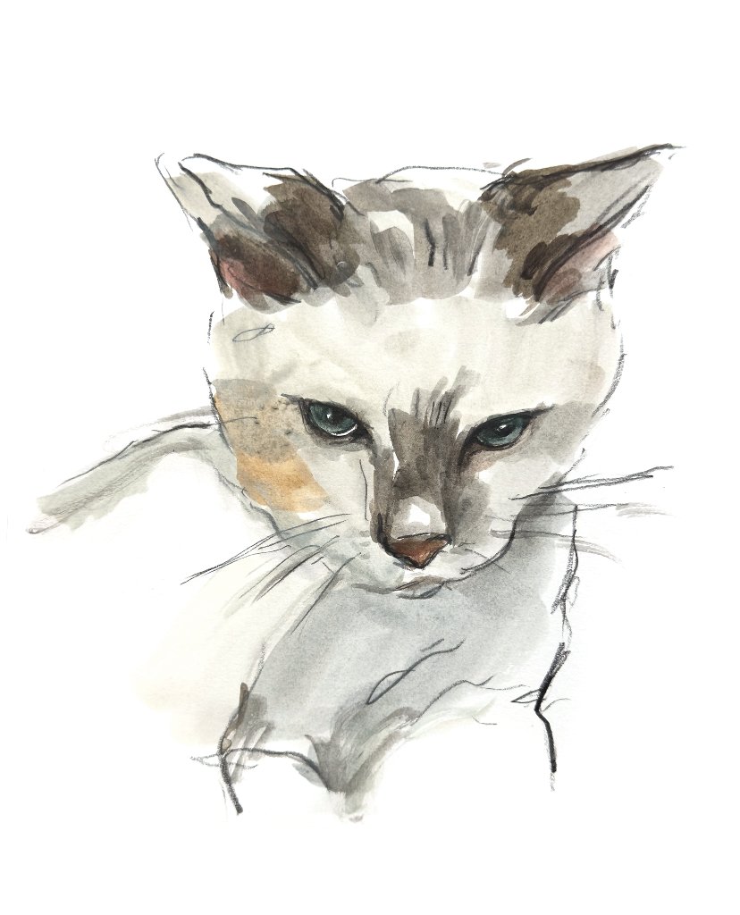 Custom hand drawn pet portrait of Clark by Ruben Baghdasaryan
