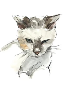 Custom hand drawn pet portrait of Clark by Ruben Baghdasaryan