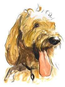 Custom hand drawn pet portrait of Louie by Ruben Baghdasaryan